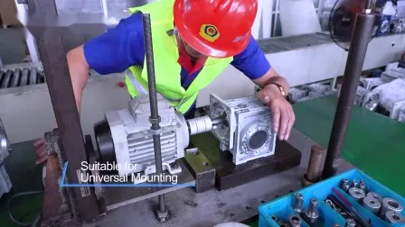 Moteur à engrenages de transmission de puissance à vis sans fin série RV